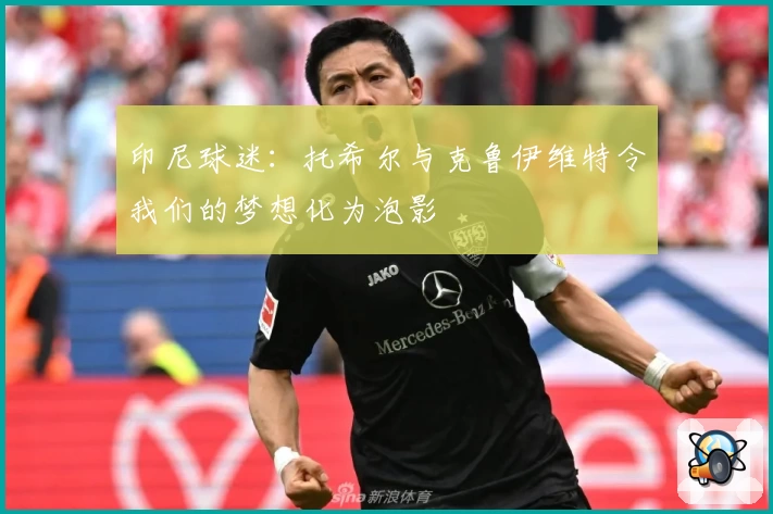 印尼球迷：托希尔与克鲁伊维特令我们的梦想化为泡影