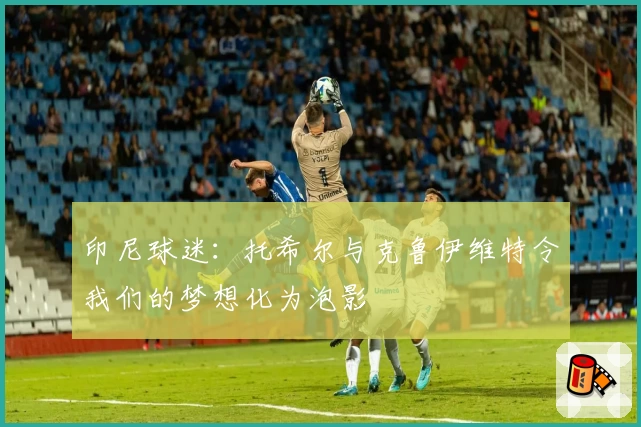 印尼球迷：托希尔与克鲁伊维特令我们的梦想化为泡影